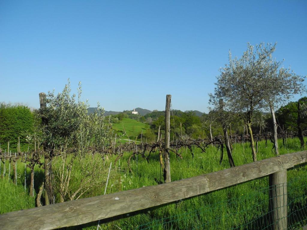 Agriturismo Cornolere Villa Castelcucco Exterior photo