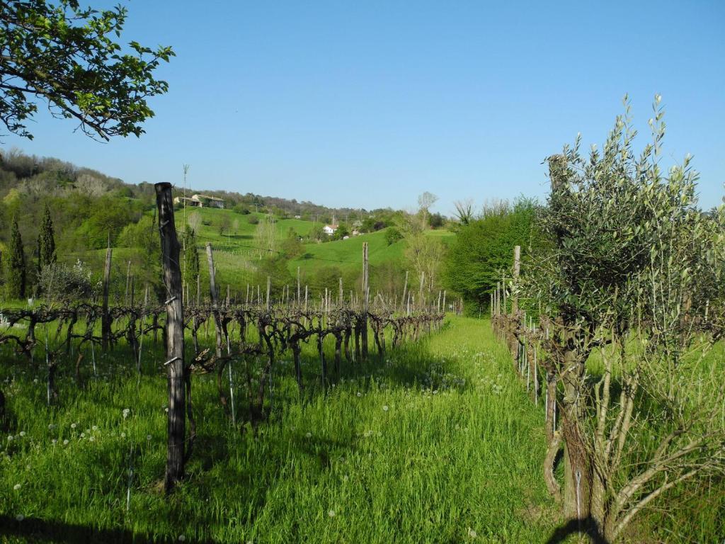 Agriturismo Cornolere Villa Castelcucco Exterior photo